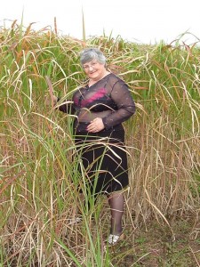 Nude granny in the Somerset Flax Fields fingers pussy